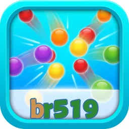 br519